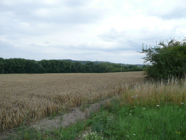 č. 1032:Prodej pozemku – 22 368 m2 – Lahošť, okr. TepliceCena: 6 710 400 Kč