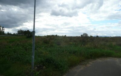č. 942:Pozemek – 3904 m2, ŽalanyCena: Prodáno