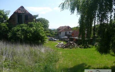 č. 873:Pozemek – 4134 m2, Žim, okr. TepliceCena: Prodáno